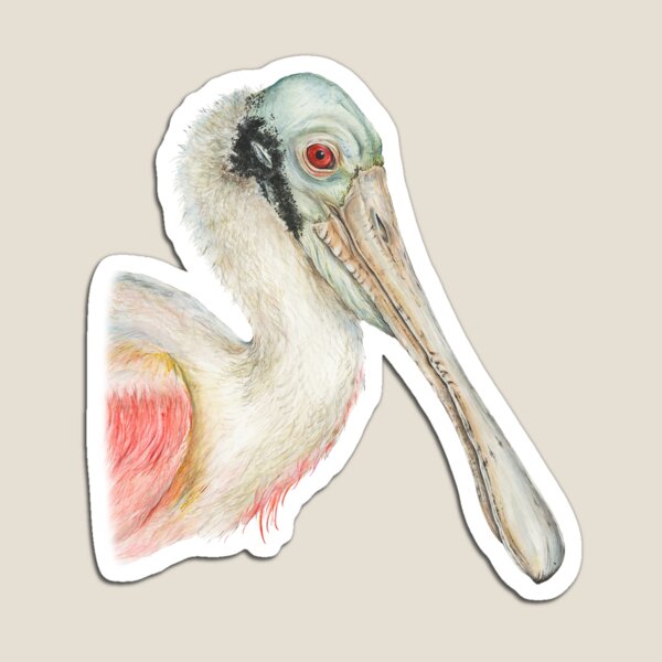 Artikelvorschau, Rosa Spoonbill entworfen und verkauft von Sami Bayly.