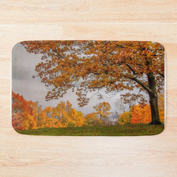 Item preview, Brookline, Summer street view of fall designed and sold by LudaNayvelt.
