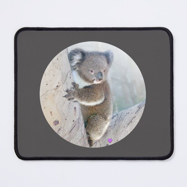 Item preview, Baby koala, designed and sold by Trish Hart.