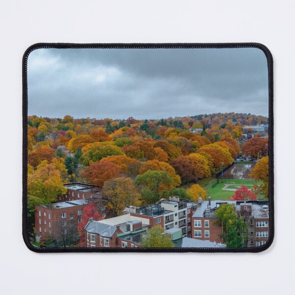 Item preview, Brookline fall panorama designed and sold by LudaNayvelt.