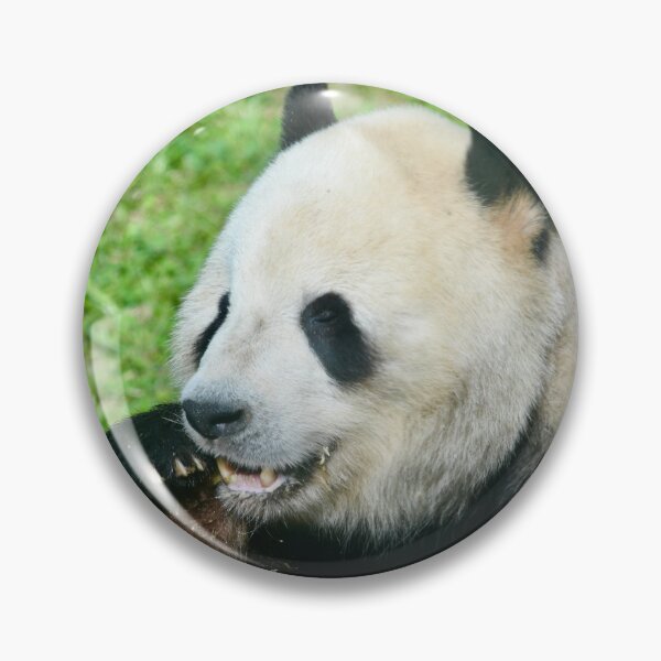 Item preview, Tian Tian the Giant Panda designed and sold by richardbryce.