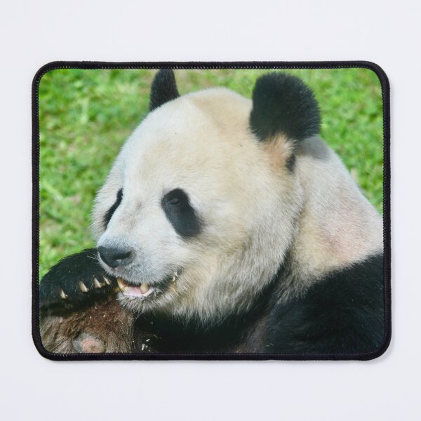 Item preview, Tian Tian the Giant Panda designed and sold by richardbryce.
