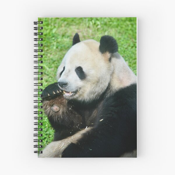 Item preview, Tian Tian the Giant Panda designed and sold by richardbryce.