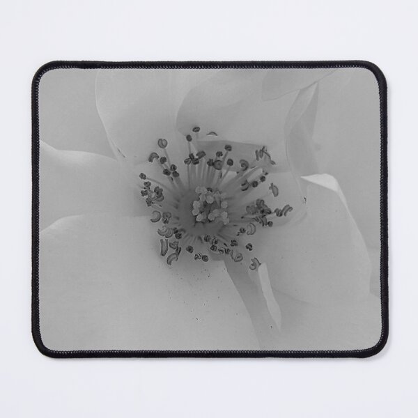 Item preview, Floribunda Rose Flower Vanilla designed and sold by PLANTONE.