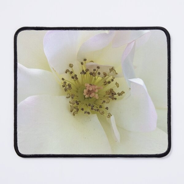 Item preview, Floribunda Rose Flower Enhanced designed and sold by PLANTONE.