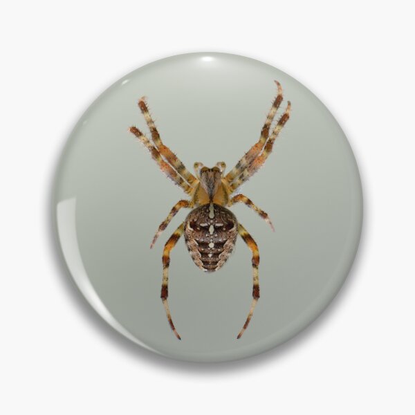 Item preview, Amazing Spider designed and sold by RainbowSpinkle.