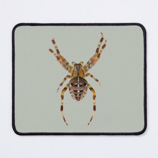 Item preview, Amazing Spider designed and sold by RainbowSpinkle.