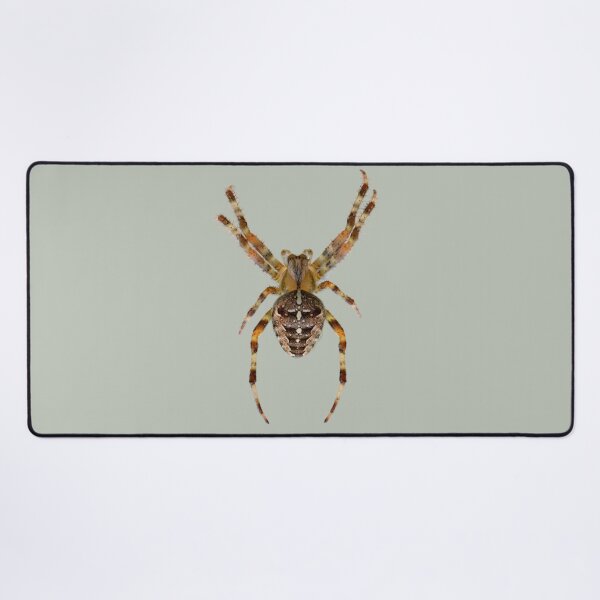 Item preview, Amazing Spider designed and sold by RainbowSpinkle.