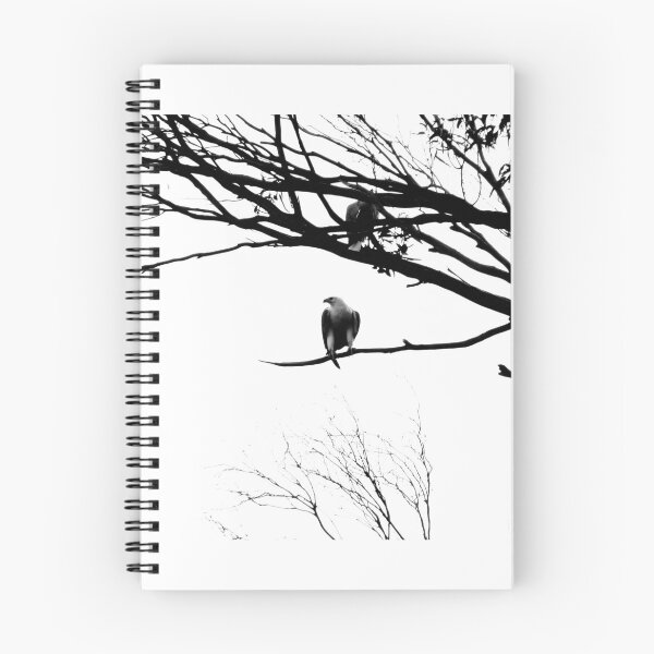 Item preview, Two Sea Eagle.........Binalong Bay designed and sold by Imi Koetz.