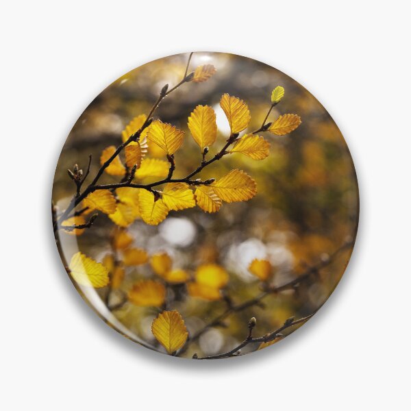 Item preview, Filtering through the Fagus designed and sold by Claire Walsh.