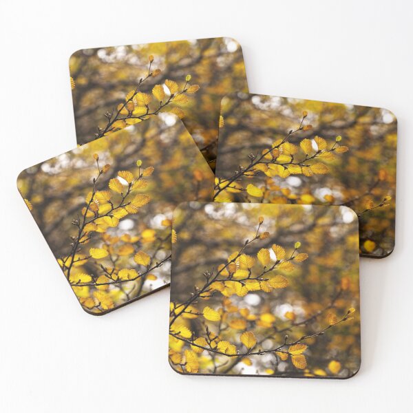 Item preview, Filtering through the Fagus designed and sold by Claire Walsh.