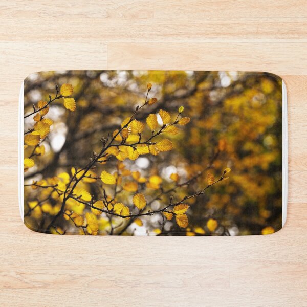 Item preview, Filtering through the Fagus designed and sold by Claire Walsh.