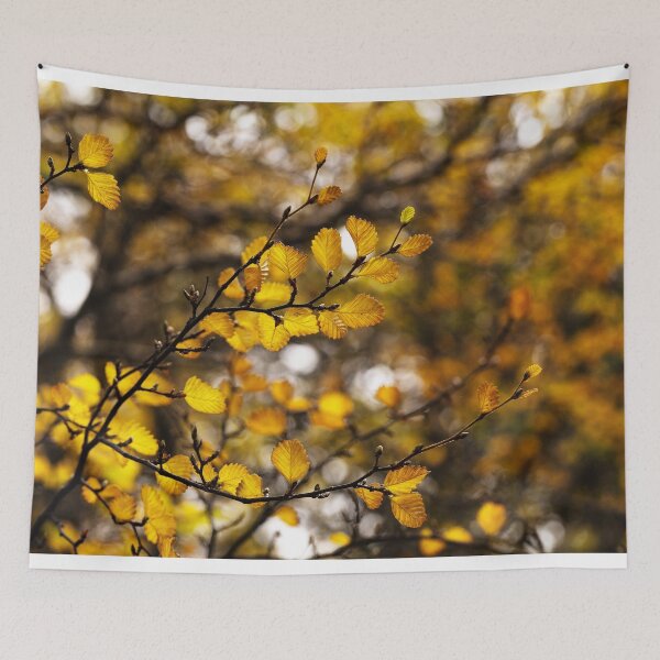 Item preview, Filtering through the Fagus designed and sold by Claire Walsh.