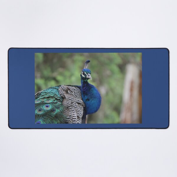 Item preview, Peacock designed and sold by LeanneAllen.