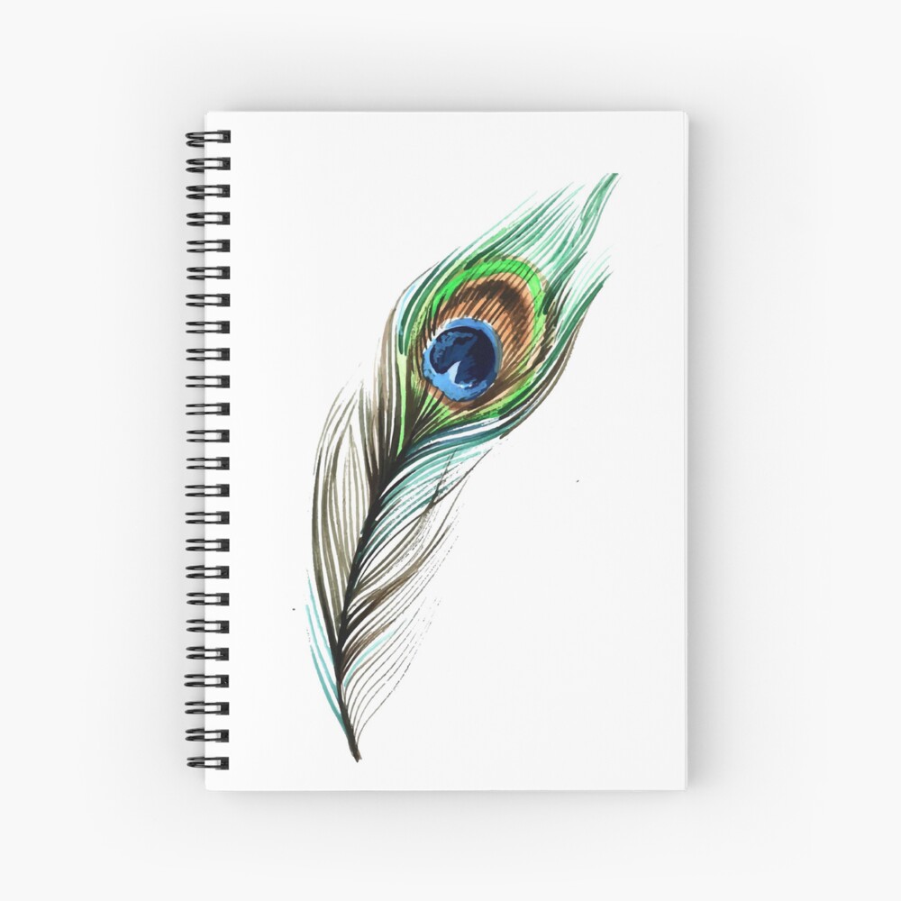 How To Draw A Peacock Feather With Watercolour Pencils - Birch And Button |  Feather drawing, Watercolor pencils, Feather art
