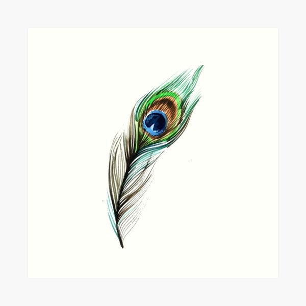 23 Morpankh ideas | feather art, feather drawing, peacock art