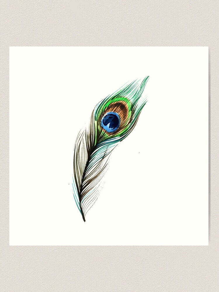 Peacock Feather Drawing Images – Browse 80,392 Stock Photos, Vectors, and  Video | Adobe Stock