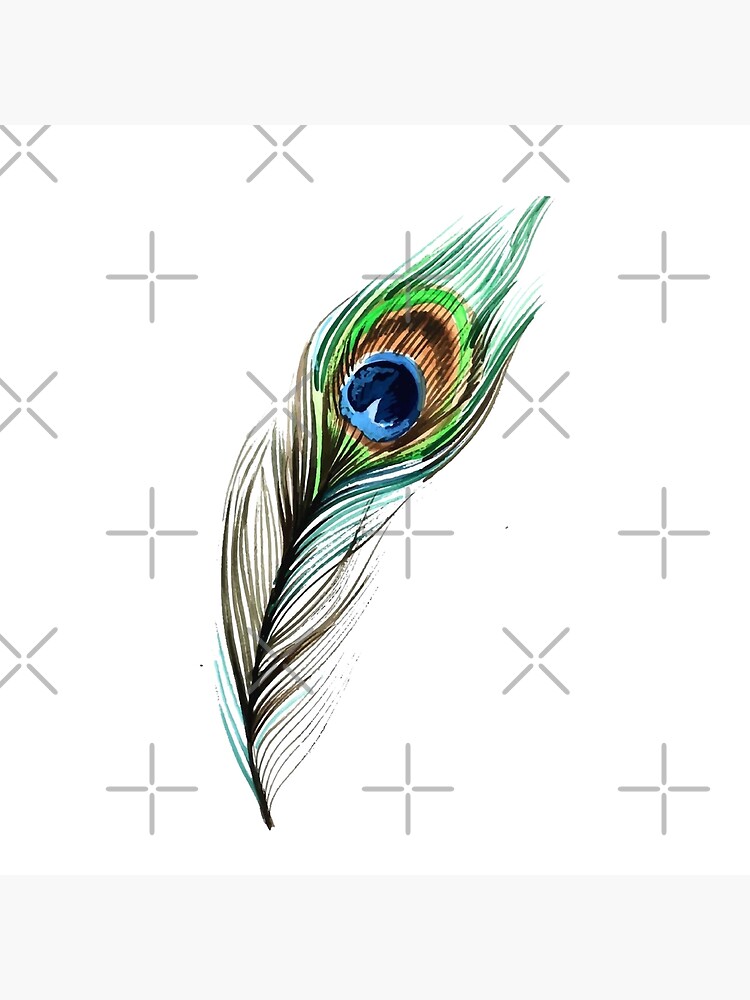 Mor pankh (Krishna Peacock feather)