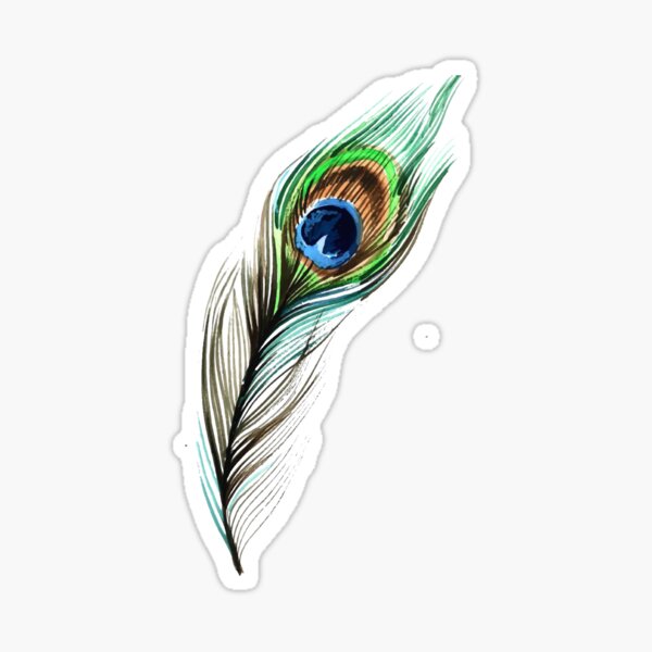 Drawing Time Lapse: Peacock Feather - YouTube