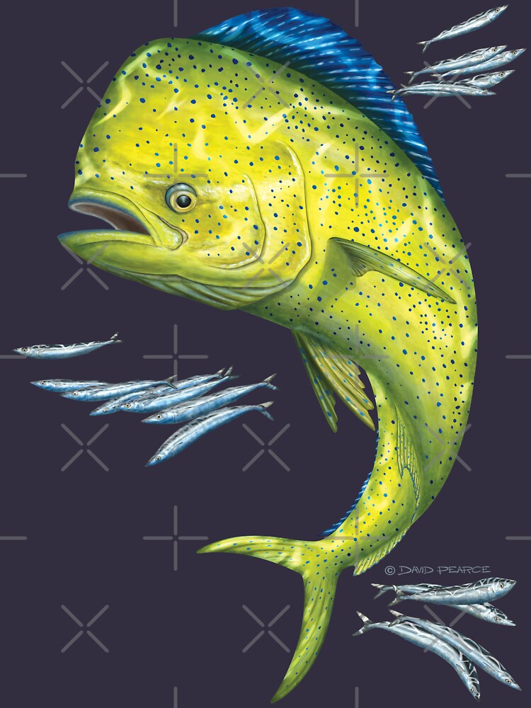 "Mahi Mahi" Tshirt for Sale by barradingo Redbubble marine art t
