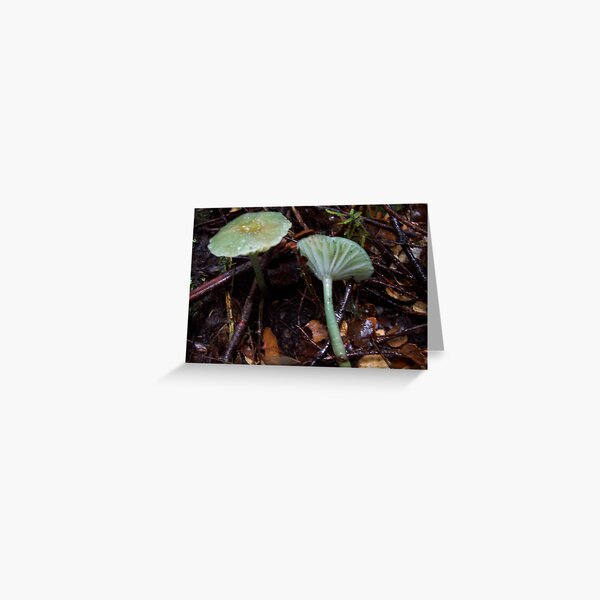 green mushroom Greeting Card