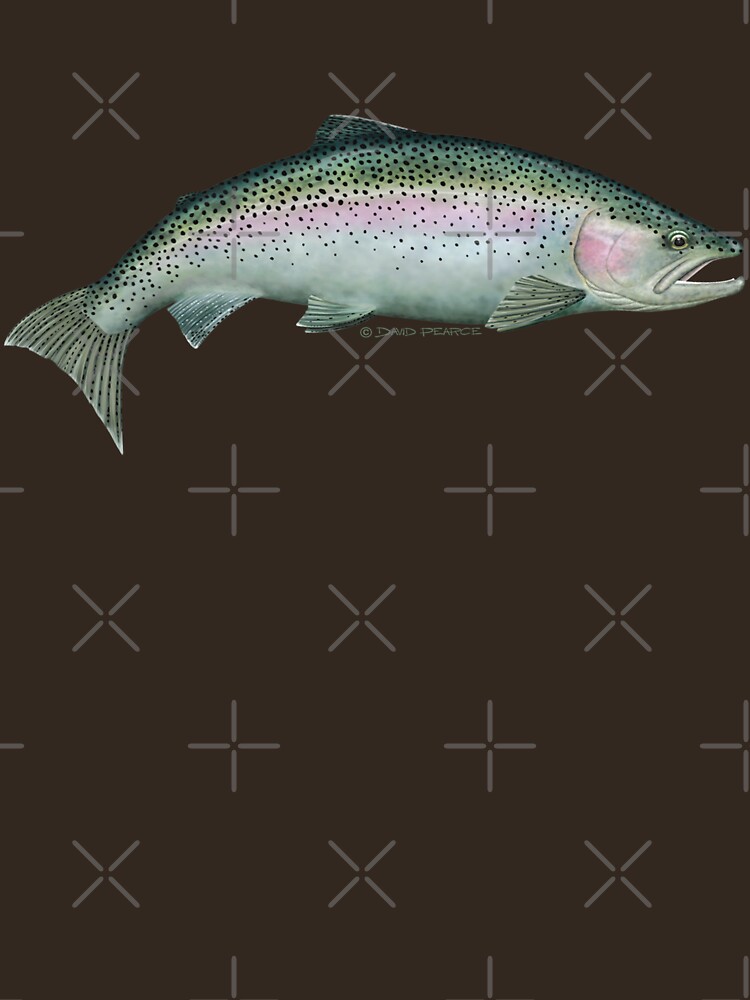 Rainbow Trout by barradingo