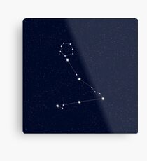 Pisces Starry Night Constellation Metal Print