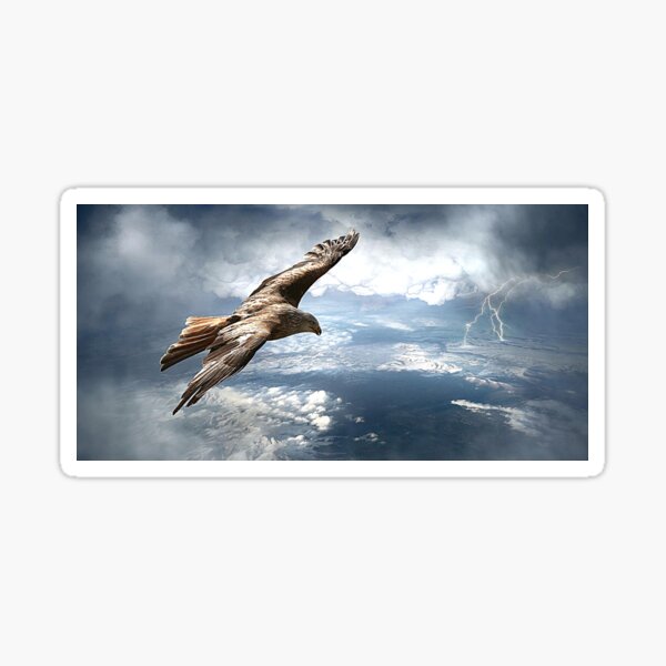 I am an eagle Sticker