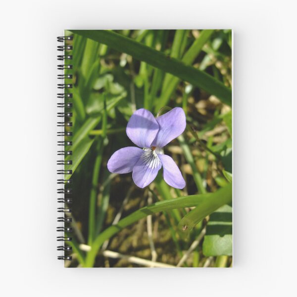 Item preview, Common Dog-violet (Viola riviniana) designed and sold by IOMWildFlowers.