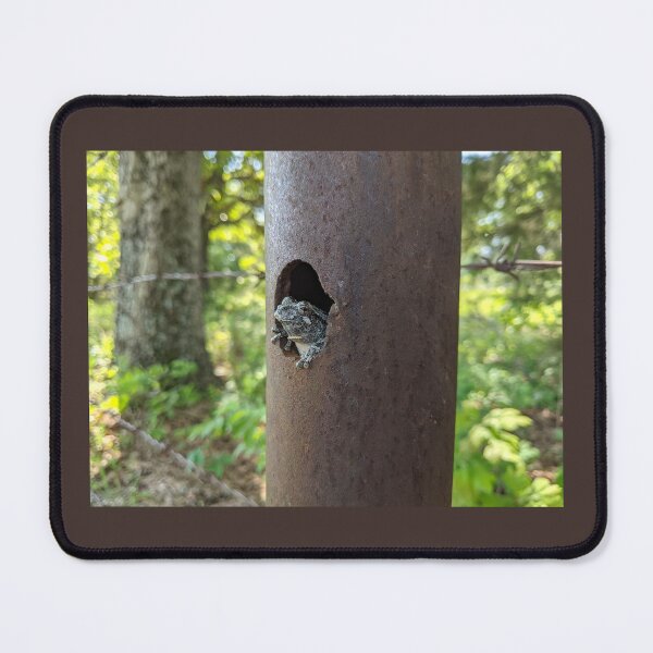 Item preview, Forg designed and sold by RslashDEEP.