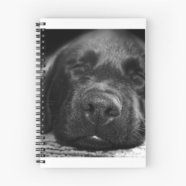 Item preview, Dog portrait - adorable puppy sleeping designed and sold by Ingrid Beddoes Photography.