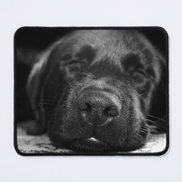 Item preview, Dog portrait - adorable puppy sleeping designed and sold by Ingrid Beddoes Photography.