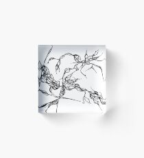 Black spots Acrylic Block
