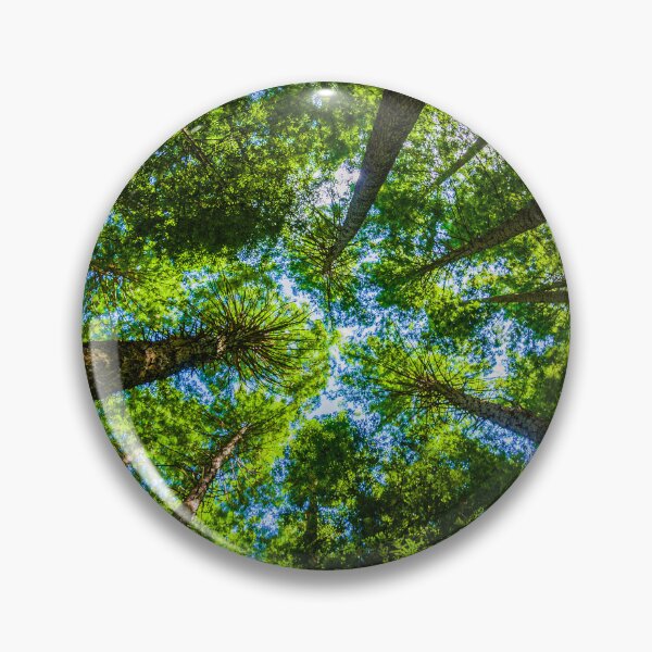 Item preview, The Redwoods Otways designed and sold by Steven Weeks.