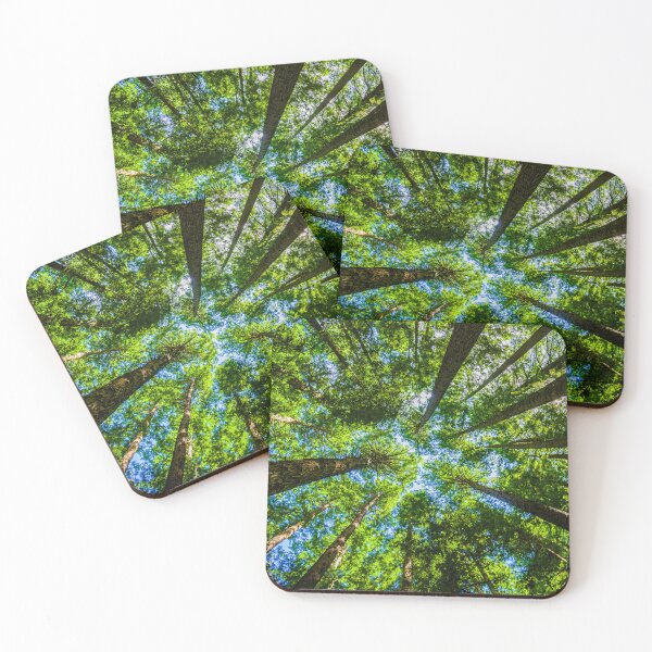 Item preview, The Redwoods Otways designed and sold by Steven Weeks.