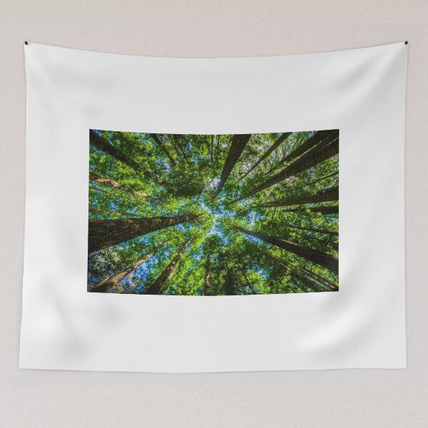 Item preview, The Redwoods Otways designed and sold by Steven Weeks.