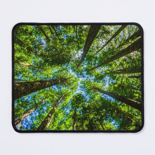 Item preview, The Redwoods Otways designed and sold by Steven Weeks.