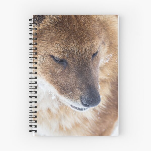 Item preview, Dhole designed and sold by SunDwn.