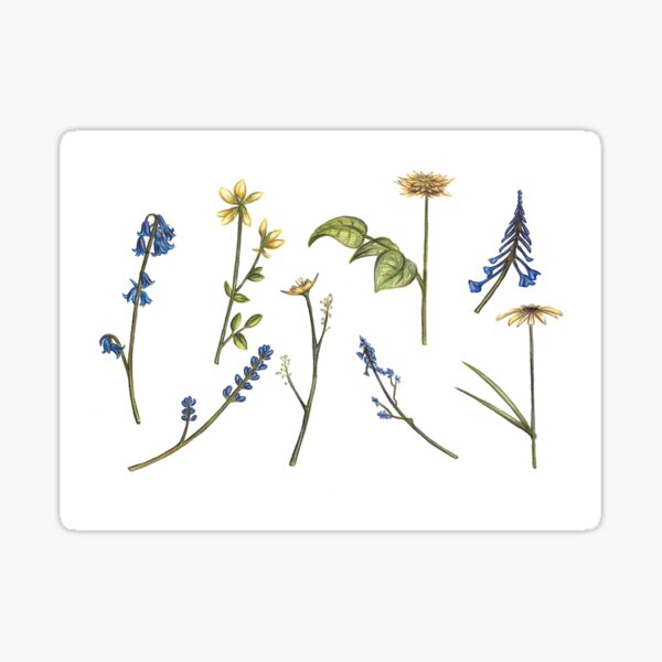 Item preview, Flower Variety - Blue and Yellow designed and sold by samantha alice farrell.