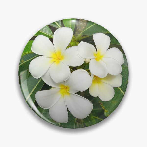 Item preview, A cluster of beautiful tropical Frangipani flowers...  designed and sold by Wonder & Whimsy.