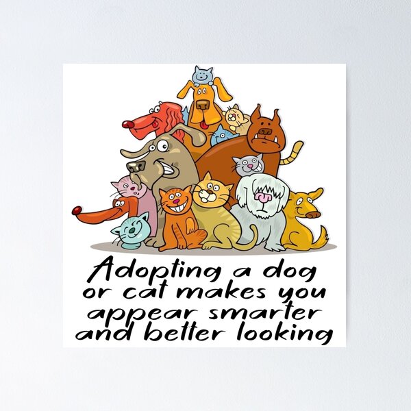 ADOPT ME, SUPPORT YOUR LOCAL CATS Poster for Sale by jingo08