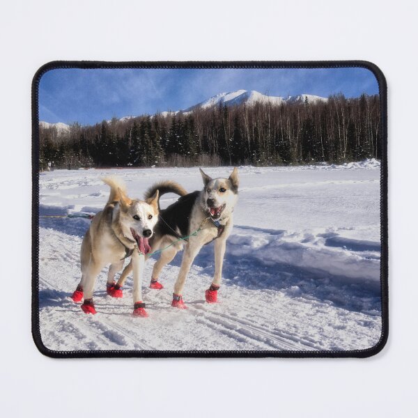 Item preview, Ready to Run - The Iditarod - Alaska designed and sold by Kathy Weaver.