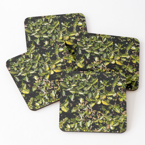 Item preview, Bush designed and sold by viknitov.