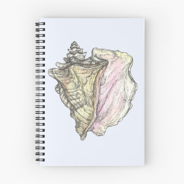 Item preview, Conch designed and sold by SerenSketches.