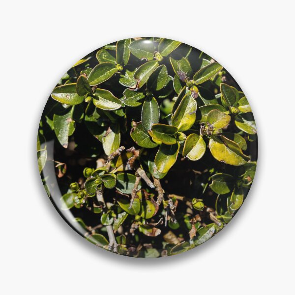 Item preview, Bush designed and sold by viknitov.