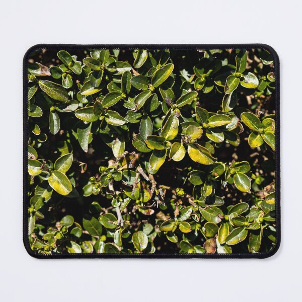 Item preview, Bush designed and sold by viknitov.