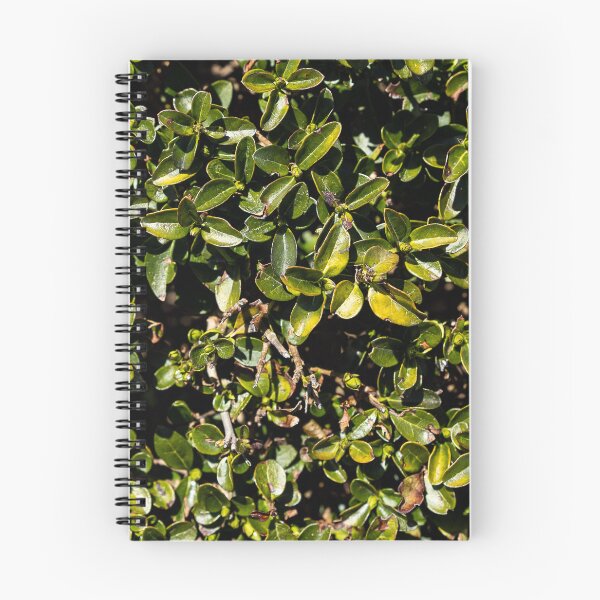 Item preview, Bush designed and sold by viknitov.