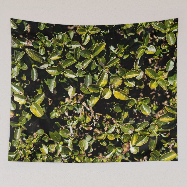 Item preview, Bush designed and sold by viknitov.