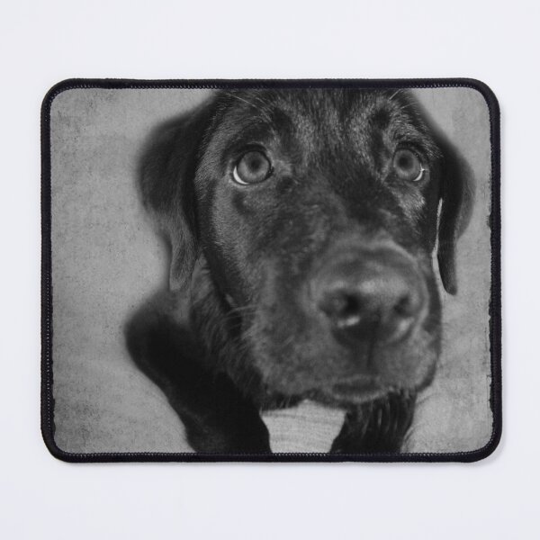 Item preview, Puppy - adorable dog portrait designed and sold by Ingrid Beddoes Photography.