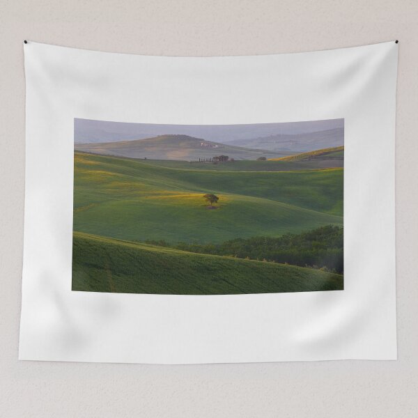 Item preview, Tree in Val D Orcia designed and sold by pietrofoto.